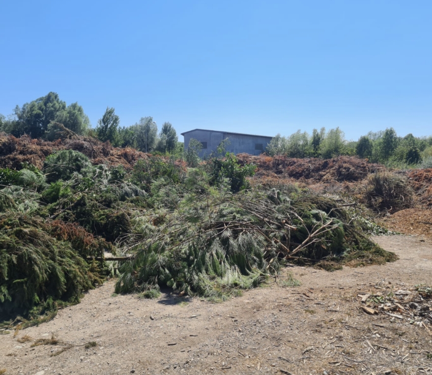 Exploitation de déchets verts